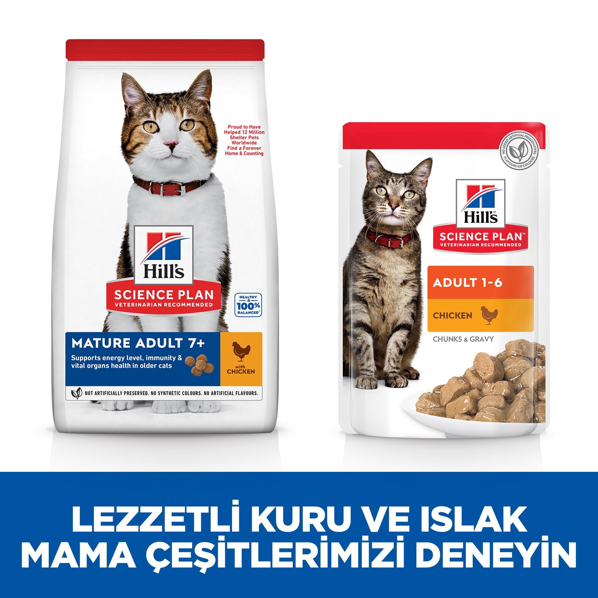Hill's SCIENCE PLAN +7 Tavuklu Yaşlı Kedi Maması 1,5 Kg