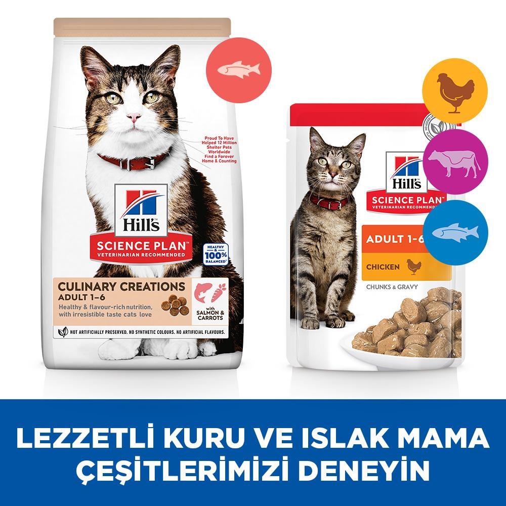 Hill's SCIENCE PLAN Culinary Creations Somonlu ve Havuçlu Yetişkin Kedi Maması 1,5 Kg