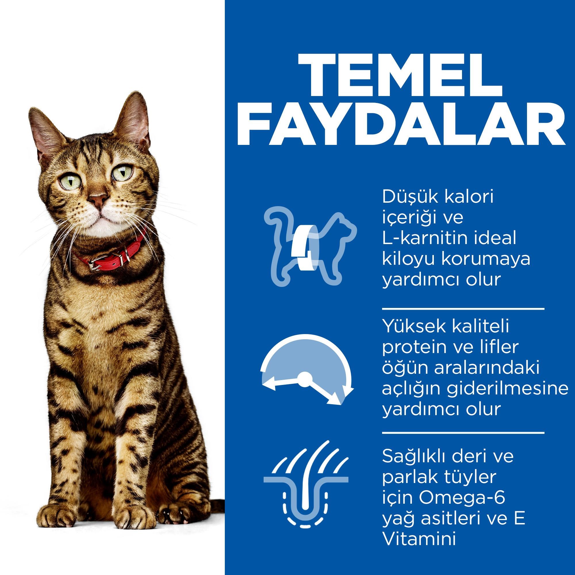 Hill's SCIENCE PLAN Light Yetişkin Tavuklu Kedi Maması 1,5 Kg