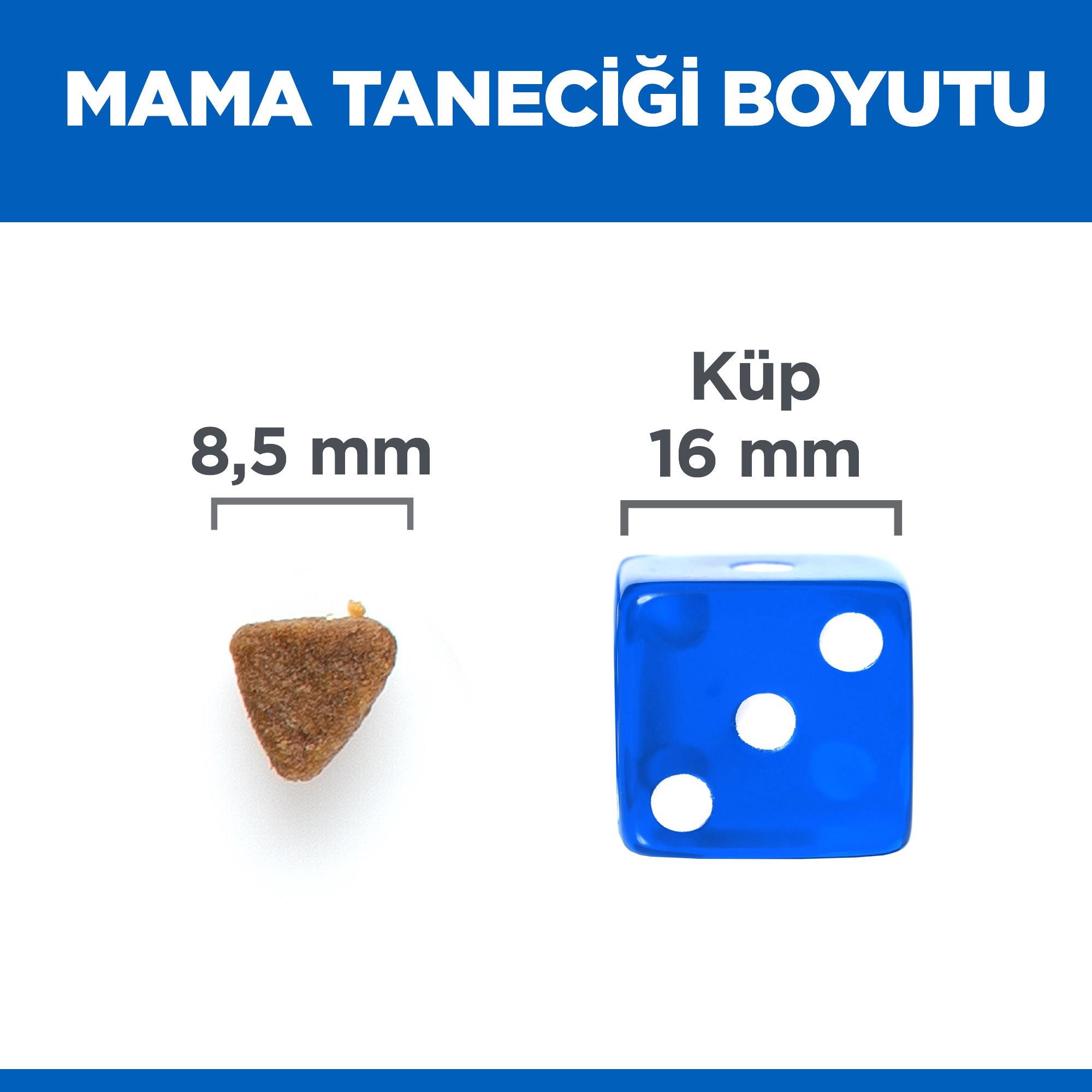 Hill's SCIENCE PLAN No Grain Tavuklu Tahılsız Yavru Kedi Maması 1,5 Kg
