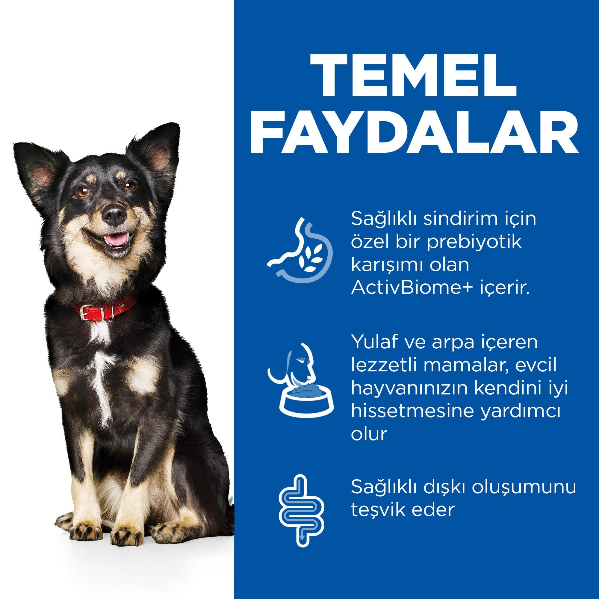 Hill's SCIENCE PLAN Perfect Digestion Yetişkin Küçük ve Mini Irk Tavuklu Köpek Maması 6 Kg