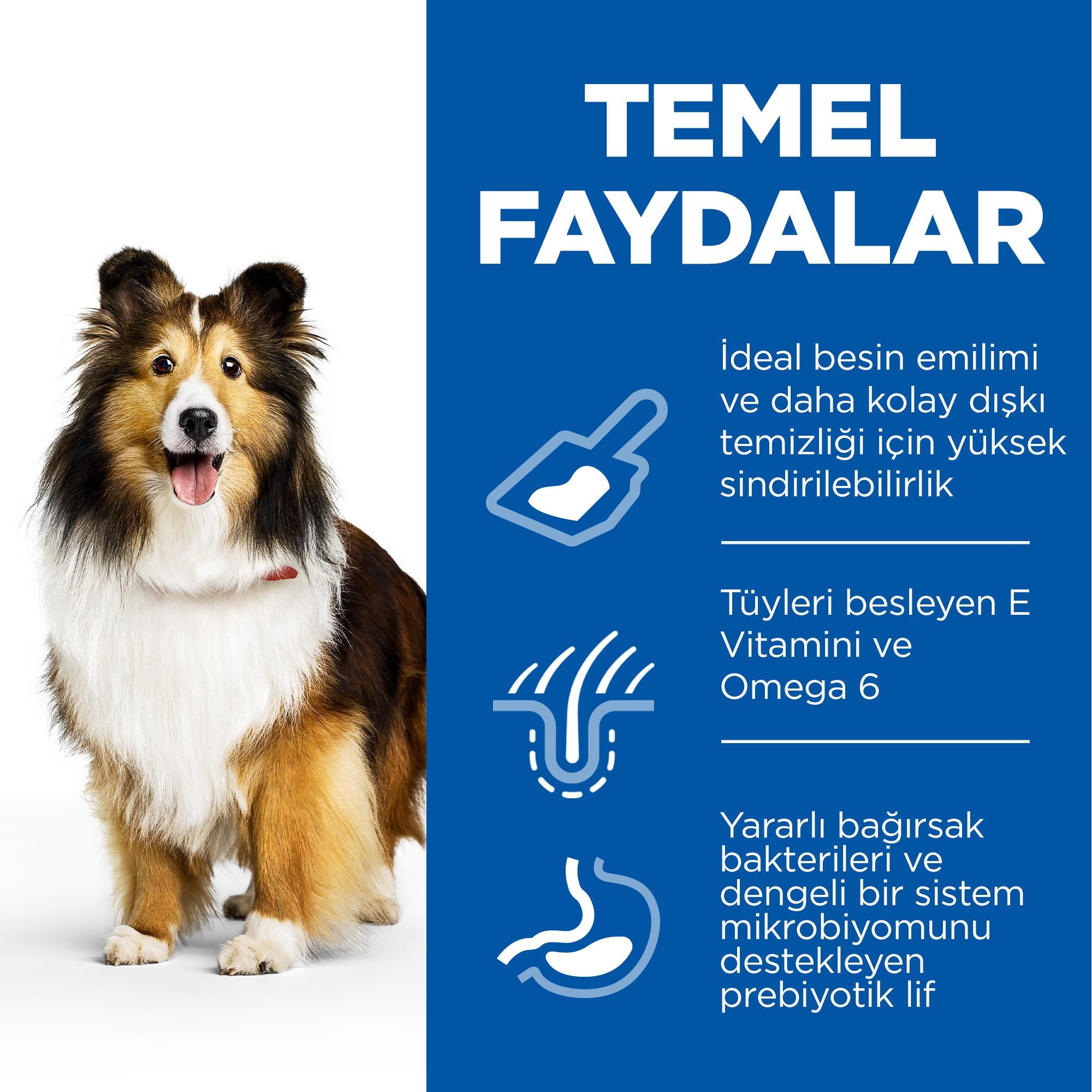 Hill's SCIENCE PLAN Sensitive Skin & Stomach Yetişkin Orta Irk Tavuklu Köpek Maması 2,5 Kg