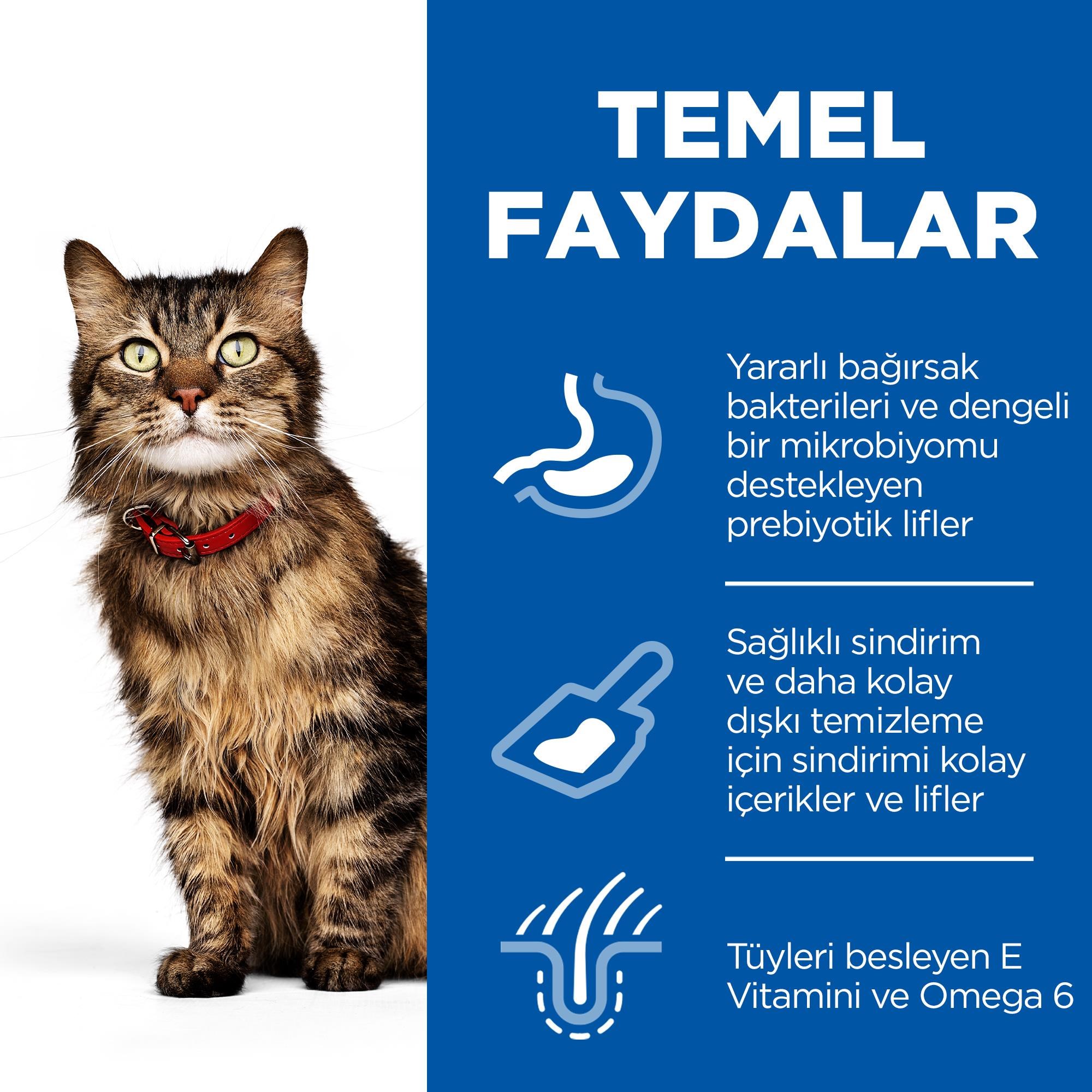 Hill's SCIENCE PLAN Sensitive Stomach & Skin Yetişkin Tavuklu Kedi Maması 1,5 Kg