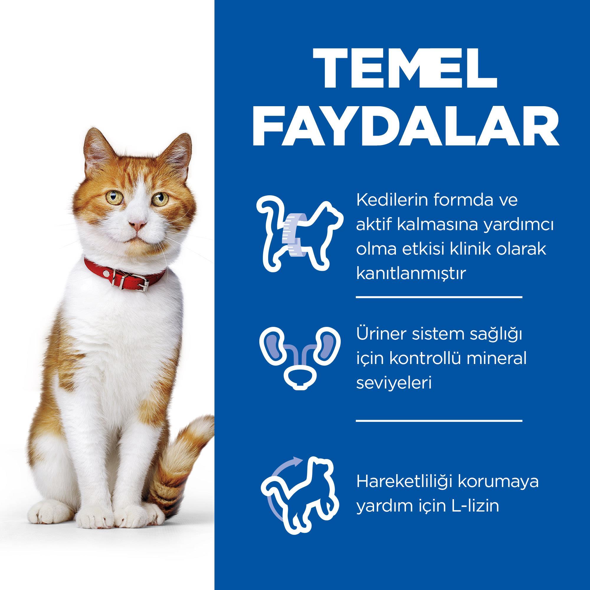 Hill's SCIENCE PLAN Sterilised Yetişkin Ton Balıklı Kedi Maması 15 Kg