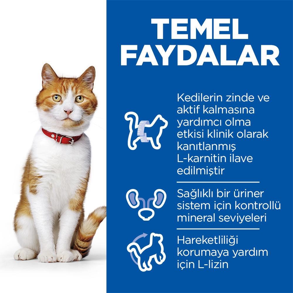 Hill's SCIENCE PLAN Sterilised Yetişkin Somonlu Kısırlaştırılmış Kedi Maması 8 Kg + 2 Kg HEDİYE!