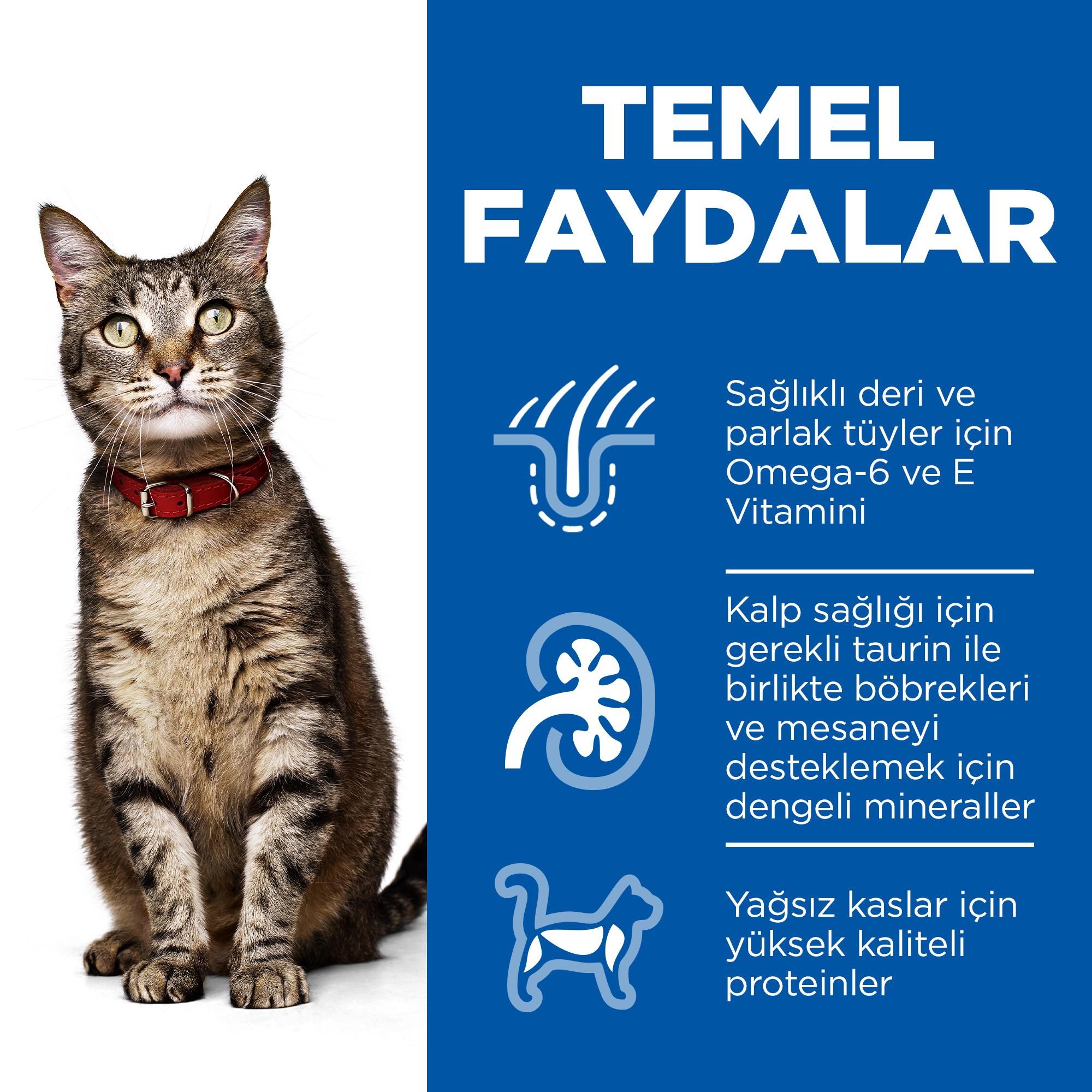 Hill's SCIENCE PLAN Yetişkin Kuzulu Kedi Maması 3 Kg