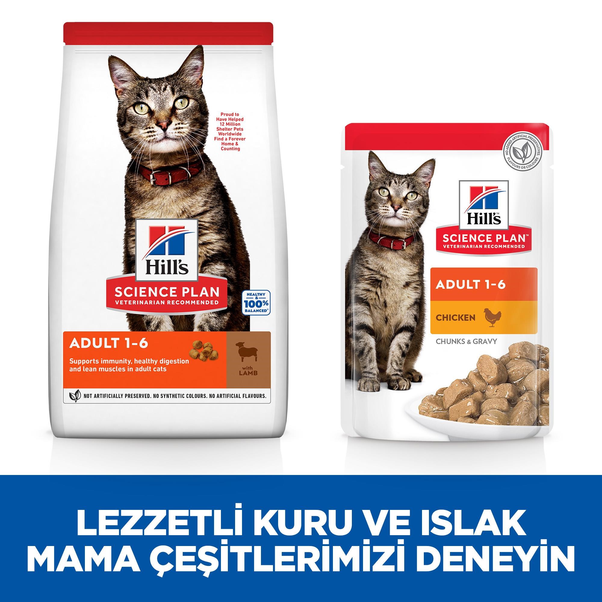 Hill's SCIENCE PLAN Yetişkin Kuzulu Kedi Maması 3 Kg