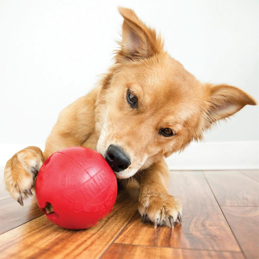 Kong Biscuit Ball Top Köpek Ödül Oyuncağı (Kırmızı) L