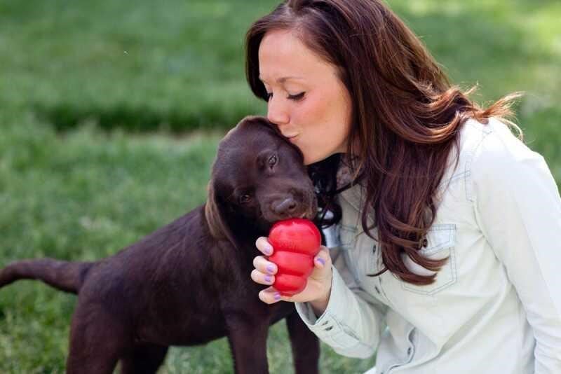 Kong Classic Kauçuk Köpek Ödül Oyuncağı 13cm XL