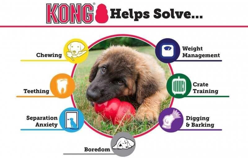 Kong Classic Kauçuk Köpek Ödül Oyuncağı 13cm XL