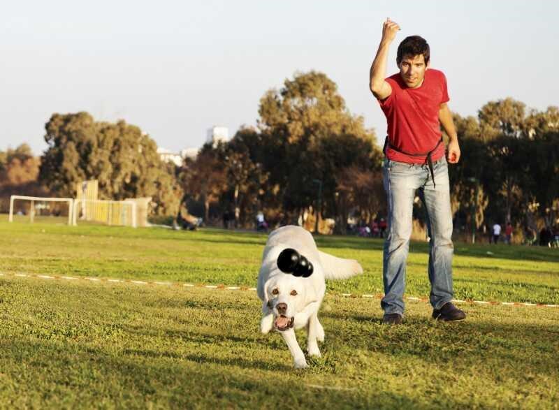 Kong Extreme Köpekler İçin Ulltra Sert Isırma Oyuncağı S