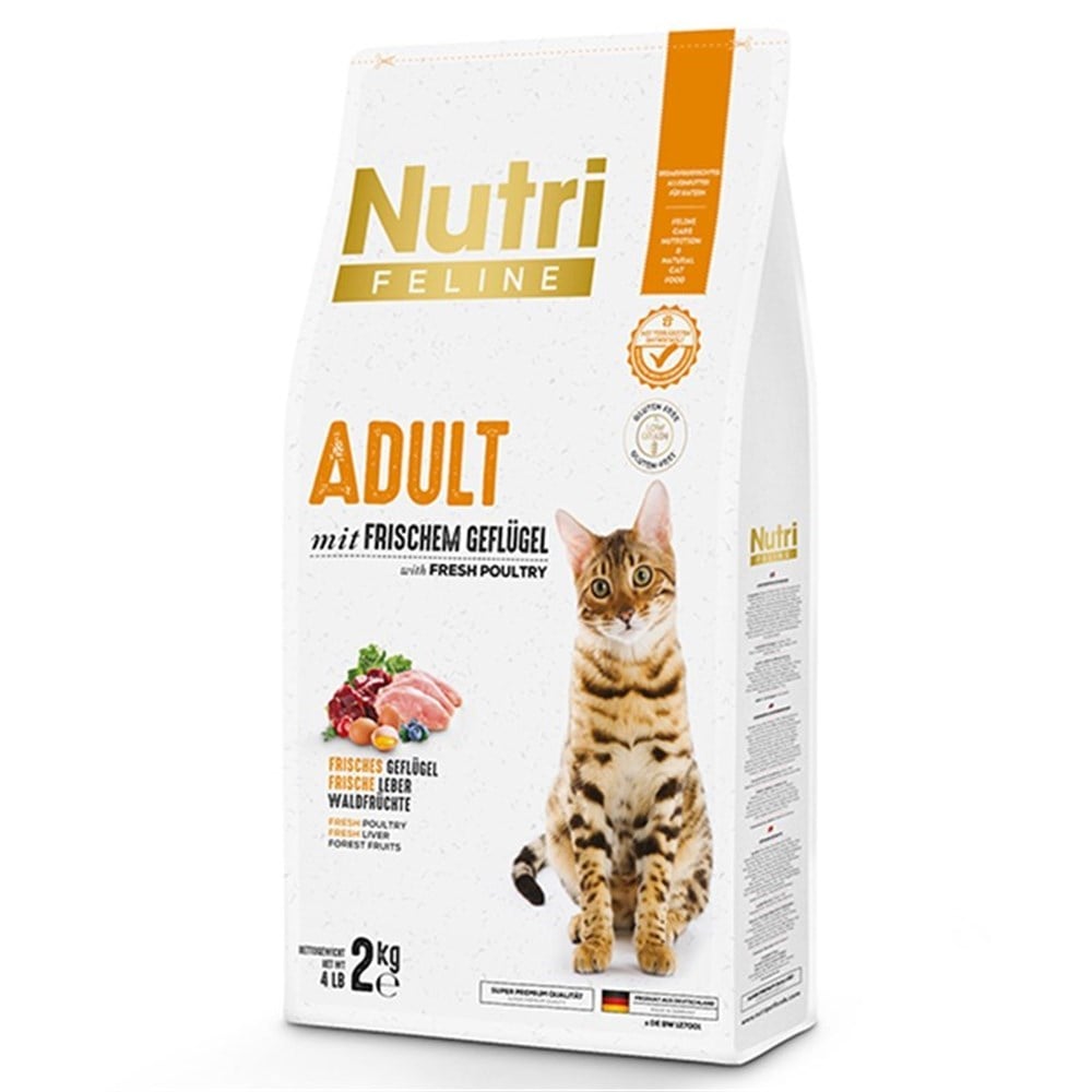 Nutri Feline Adult Salmon Somonlu Yetişkin Kedi Maması 2 Kg