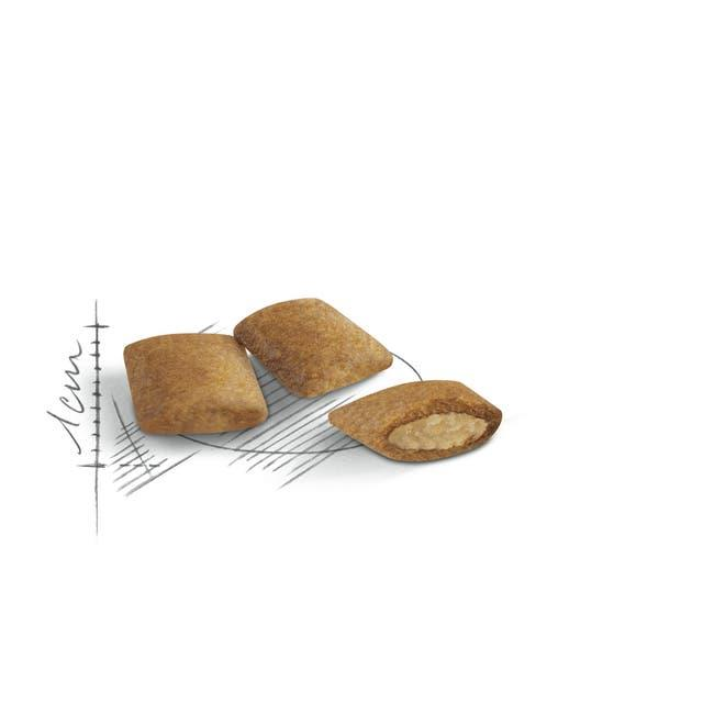 Royal Canin Ageing +12 Yaş Üzeri Yaşlı Kedi Maması 2 Kg
