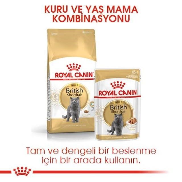 Royal Canin British Shorthair Adult Yetişkin Kedi Maması 4 Kg