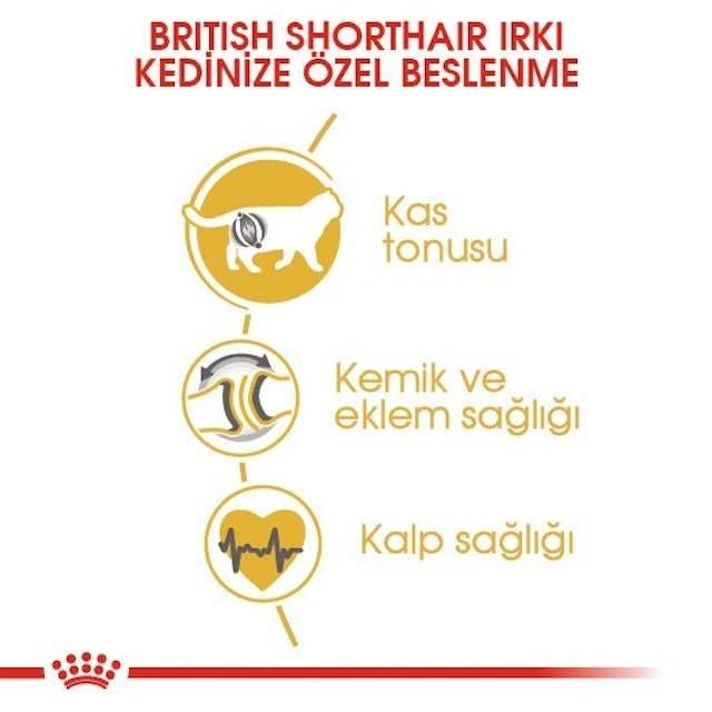 Royal Canin British Shorthair Adult Yetişkin Kedi Maması 2 Kg