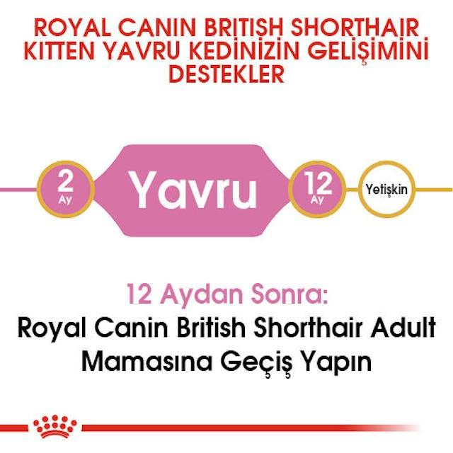 Royal Canin British Shorthair Kitten Yavru Kedi Maması 2 Kg