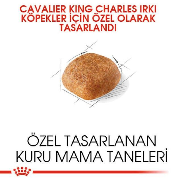 Royal Canin Cavalier King Charles Yetişkin Köpek Maması 3 Kg