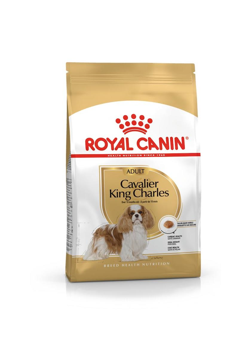 Royal Canin Cavalier King Charles Yetişkin Köpek Maması 3 Kg