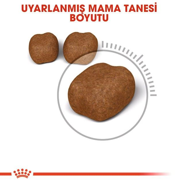 Royal Canin Dental Care Ağız ve Diş Sağlığı İçin Yetişkin Kedi Maması 1,5 Kg