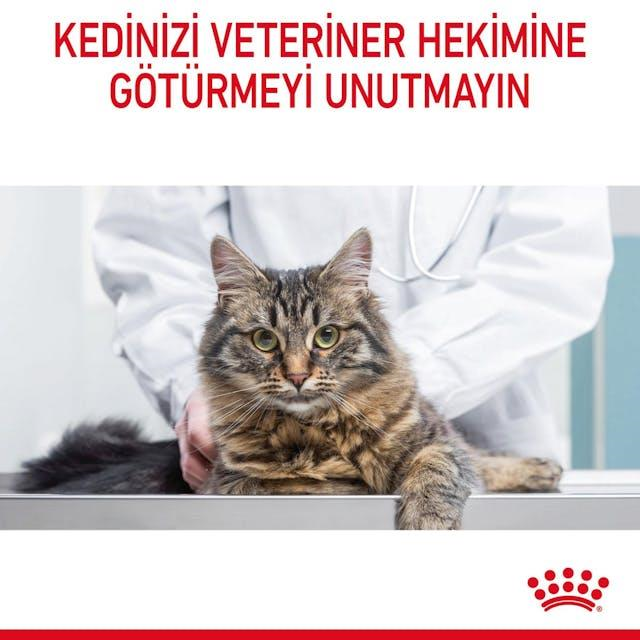 Royal Canin Dental Care Ağız ve Diş Sağlığı İçin Yetişkin Kedi Maması 1,5 Kg