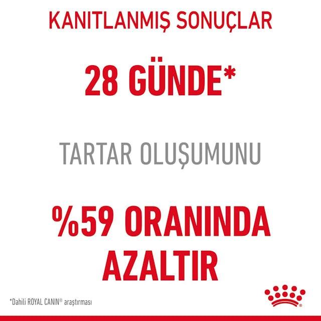 Royal Canin Dental Care Ağız ve Diş Sağlığı İçin Yetişkin Kedi Maması 1,5 Kg