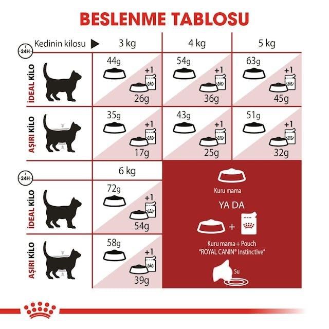 Royal Canin Fit 32 Yetişkin Kedi Maması 4 Kg