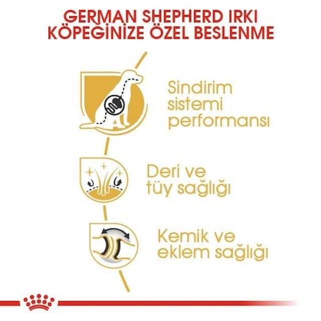 Royal Canin German Shepherd Yetişkin Alman Çoban Köpeği Maması 11 Kg