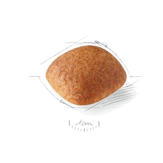 Royal Canin Golden Retriever Yetişkin Köpek Maması 12 Kg