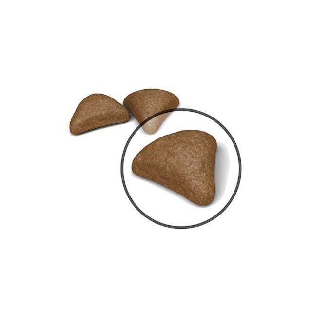 Royal Canin Hairball Care Yetişkin Kedi Maması 2 Kg