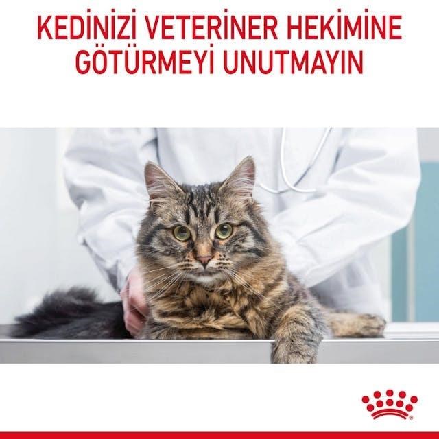 Royal Canin Hairball Care Yetişkin Kedi Maması 2 Kg