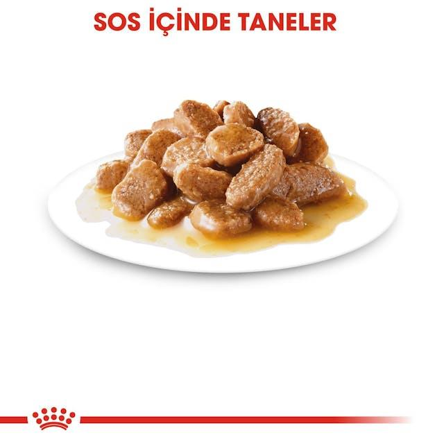 Royal Canin Küçük Irklar için Yetişkin Yaş Köpek Maması 85 Gr (12 Adet)