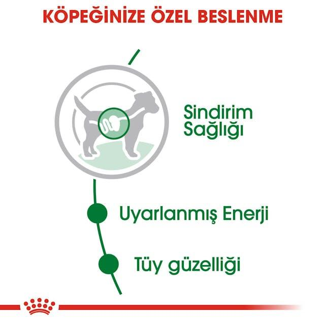 Royal Canin Küçük Irklar için Yetişkin Yaş Köpek Maması 85 Gr