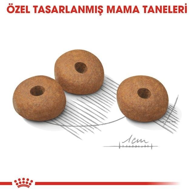 Royal Canin Light Weight Care Mini Yetişkin Köpek Maması 3 Kg