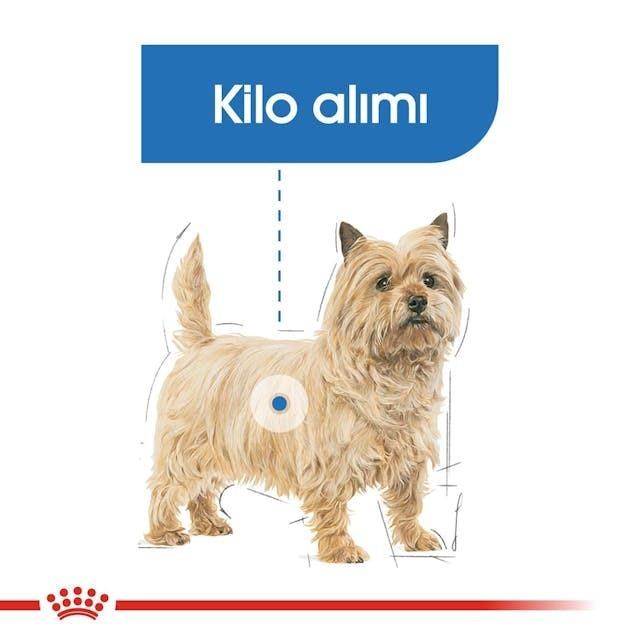 Royal Canin Light Weight Care Mini Yetişkin Köpek Maması 3 Kg