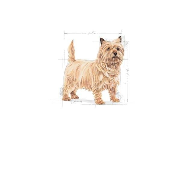 Royal Canin Light Weight Care Mini Yetişkin Köpek Maması 3 Kg