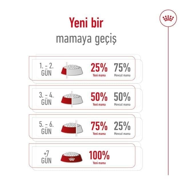 Royal Canin Maxi Adult Büyük Irk Yetişkin Köpek Maması 15 Kg