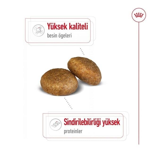 Royal Canin Maxi Adult Büyük Irk Yetişkin Köpek Maması 15 Kg