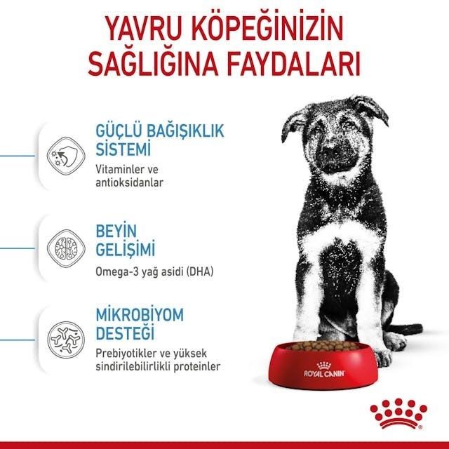Royal Canin Maxi Puppy Büyük Irk Yavru Köpek Maması 15 Kg