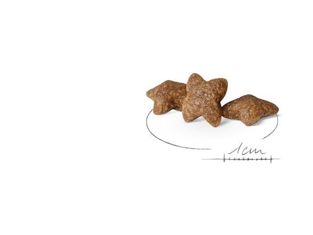 Royal Canin Mini Adult Küçük Irk Yetişkin Köpek Maması 4 Kg
