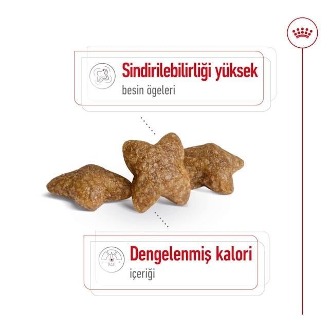 Royal Canin Mini Adult Küçük Irk Yetişkin Köpek Maması 4 Kg