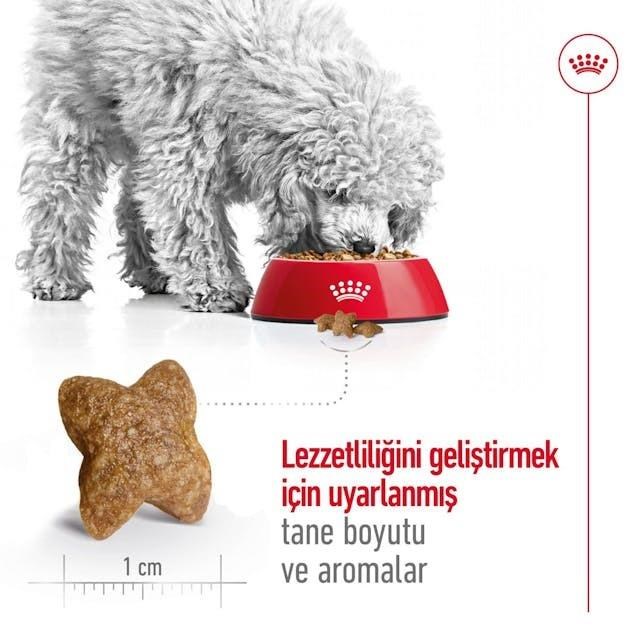Royal Canin Mini Adult Küçük Irk Yetişkin Köpek Maması 4 Kg