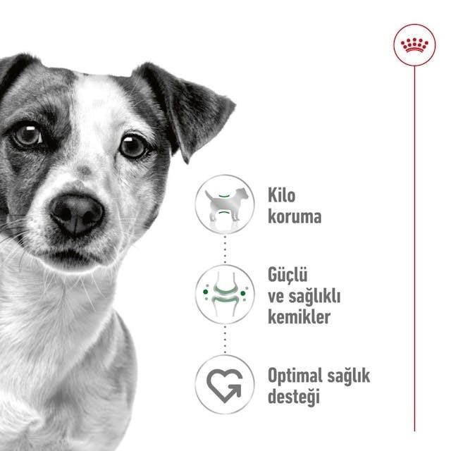 Royal Canin Mini Adult Küçük Irk Yetişkin Köpek Maması 4 Kg