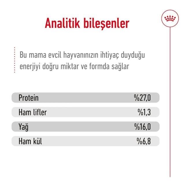 Royal Canin Mini Adult Küçük Irk Yetişkin Köpek Maması 4 Kg