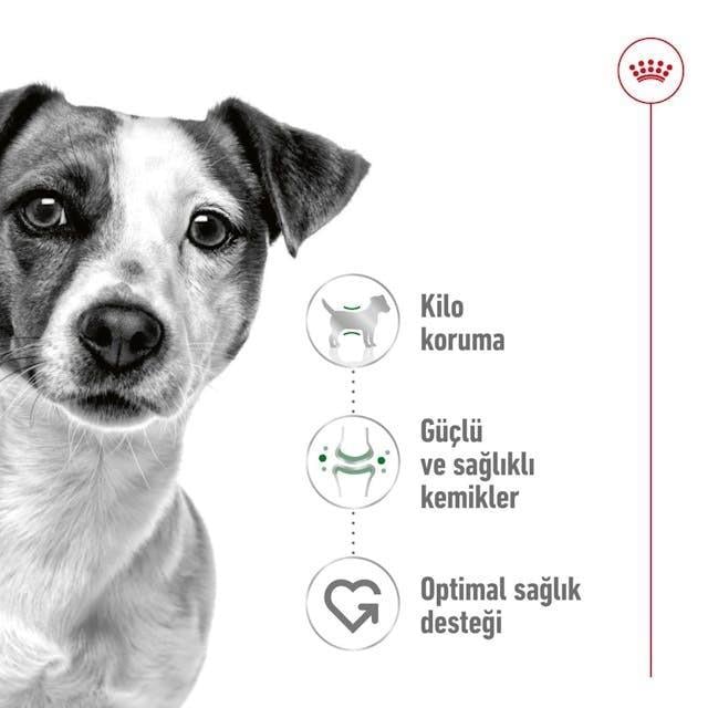 Royal Canin Mini Adult Küçük Irk Yetişkin Köpek Maması 4 Kg