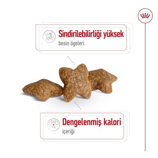 Royal Canin Mini Adult Küçük Irk Yetişkin Köpek Maması 4 Kg