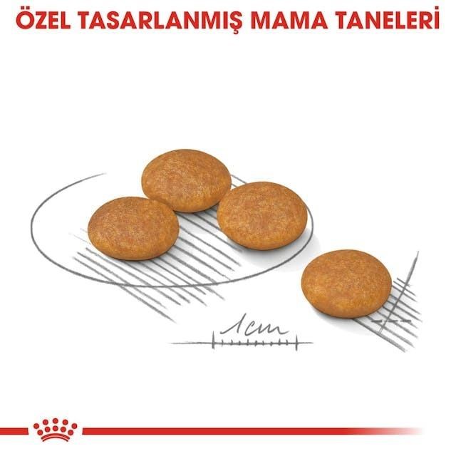 Royal Canin Mini Dermacomfort Yetişkin Köpek Maması 3 Kg