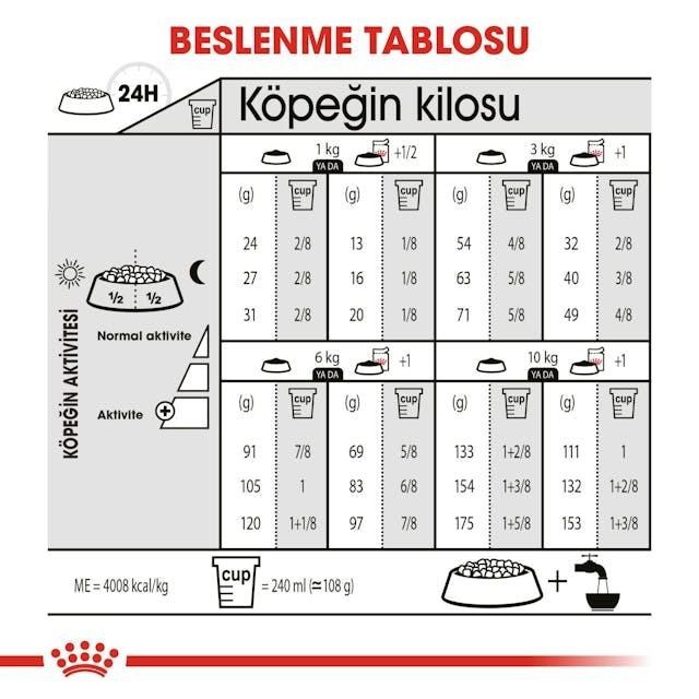 Royal Canin Mini Dermacomfort Yetişkin Köpek Maması 3 Kg