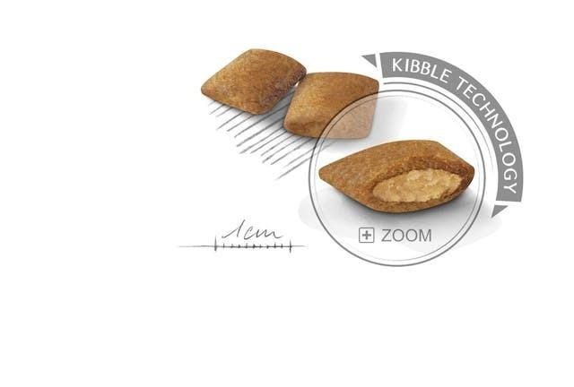 Royal Canin Mini Exigent Seçici Köpekler İçin Kuru Köpek Maması 3 Kg