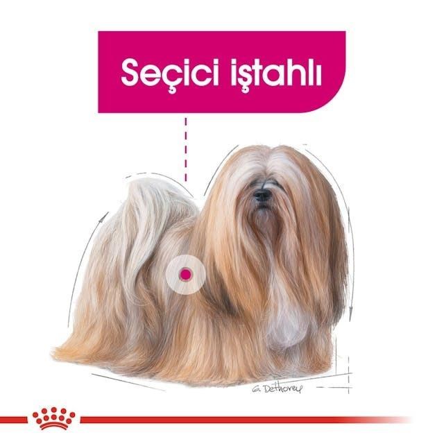 Royal Canin Mini Exigent Seçici Köpekler İçin Kuru Köpek Maması 3 Kg