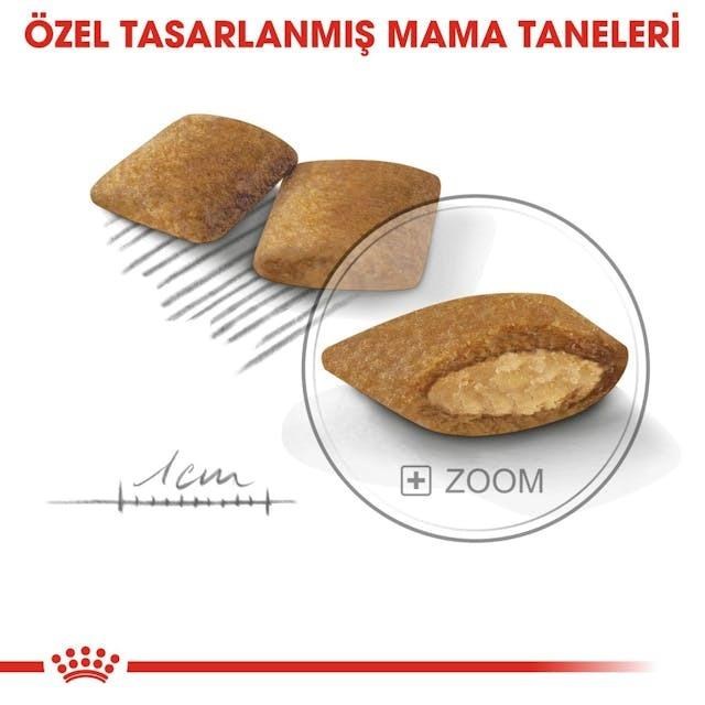 Royal Canin Mini Exigent Seçici Köpekler İçin Kuru Köpek Maması 3 Kg